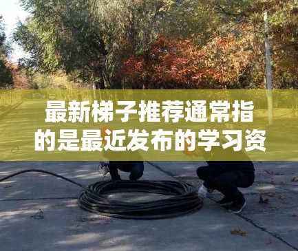最新梯子推荐通常指的是最近发布的学习资源或平台，可能指的是