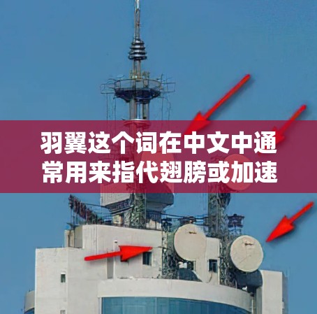 羽翼这个词在中文中通常用来指代翅膀或加速之类的词汇，因此羽翼免费加速器可能指的是提供免费加速功能的工具或软件。如果你在寻找免费的加速工具或软件，可以参考以下建议