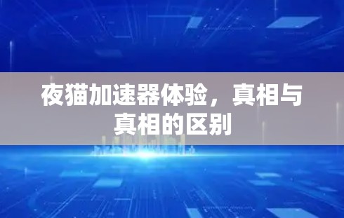 夜猫加速器体验，真相与真相的区别