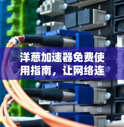 洋葱加速器免费使用指南，让网络连接更顺畅