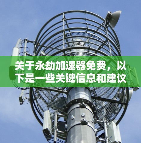 关于永劫加速器免费，以下是一些关键信息和建议