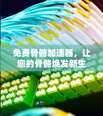 免费骨骼加速器，让您的骨骼焕发新生
