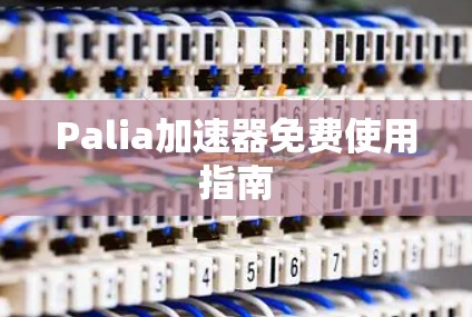Palia加速器免费使用指南