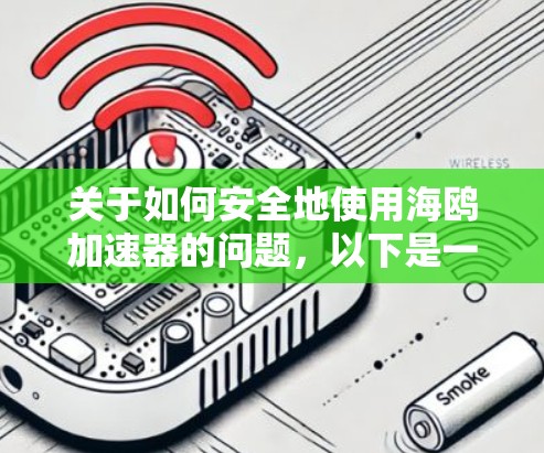 关于如何安全地使用海鸥加速器的问题，以下是一些详细的步骤和建议