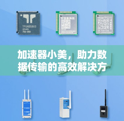 加速器小美，助力数据传输的高效解决方案