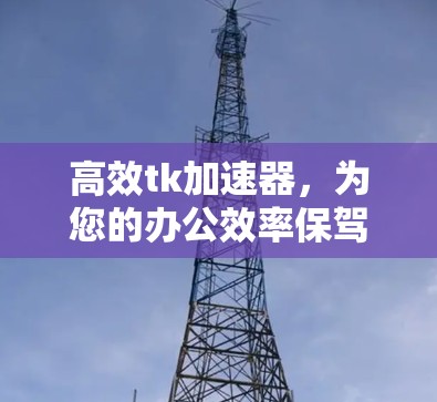 高效tk加速器，为您的办公效率保驾护航