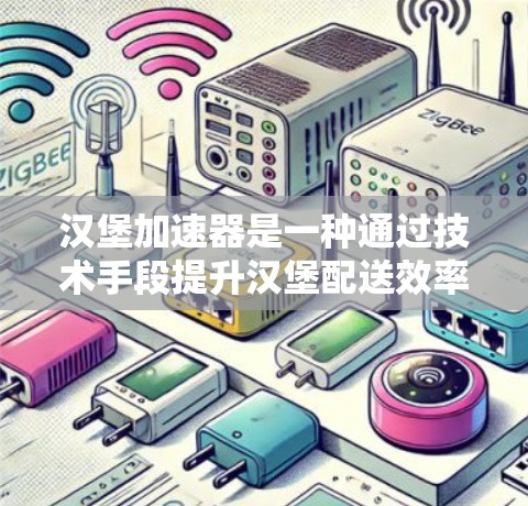 汉堡加速器是一种通过技术手段提升汉堡配送效率的服务，具有一定的技术优势和经济优势。以下是对该服务的详细分析和建议