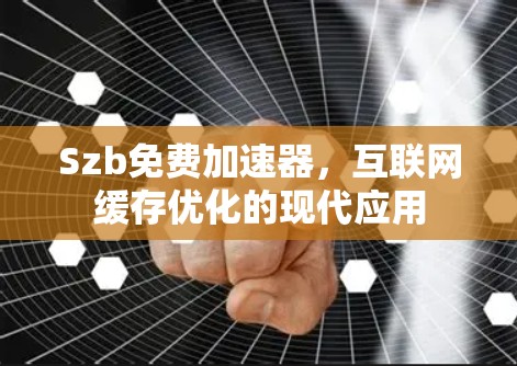 Szb免费加速器，互联网缓存优化的现代应用