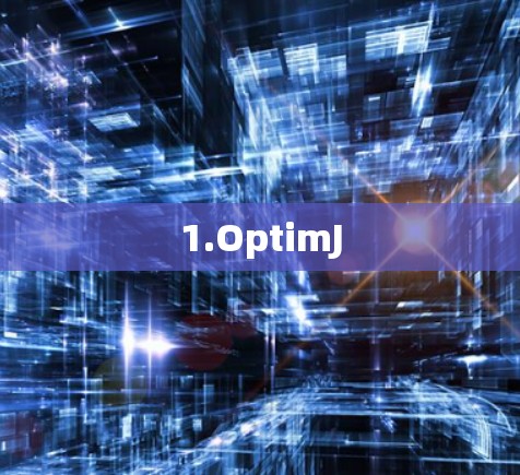1.OptimJ
