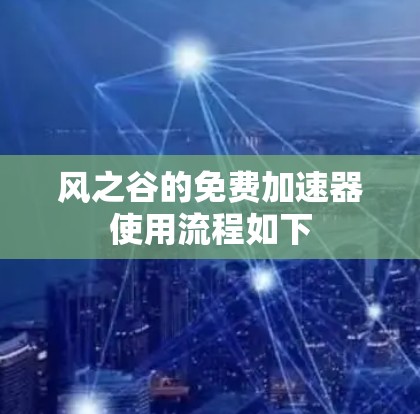 风之谷的免费加速器使用流程如下