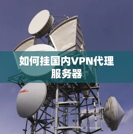 如何挂国内VPN代理服务器