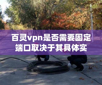 百灵vpn是否需要固定端口取决于其具体实现方式。以下是详细的总结