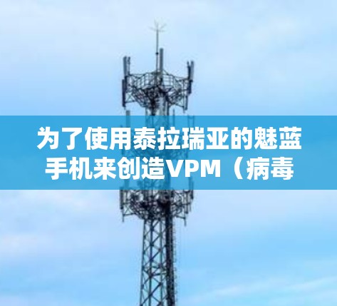 为了使用泰拉瑞亚的魅蓝手机来创造VPM（病毒传播包）可以按照以下步骤操作