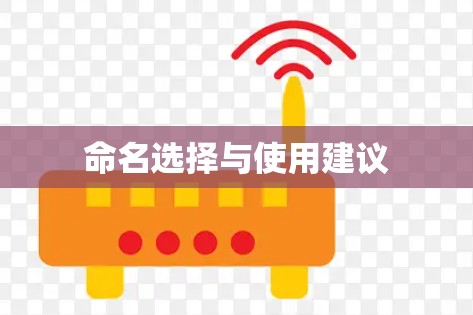 命名选择与使用建议