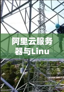 阿里云服务器与Linux服务器网络VPN部署方案