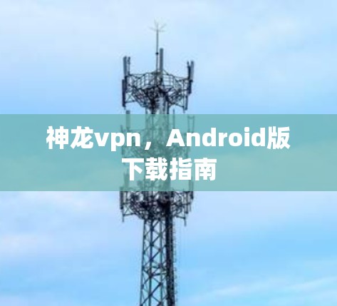 神龙vpn，Android版下载指南
