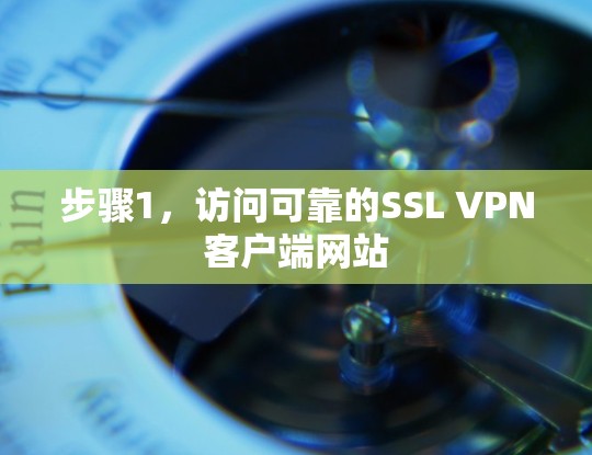 步骤1,访问可靠的SSL VPN客户端网站 步骤1,访问可靠的SSL VPN客户端网站