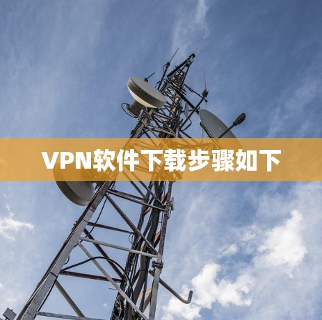 VPN软件下载步骤如下