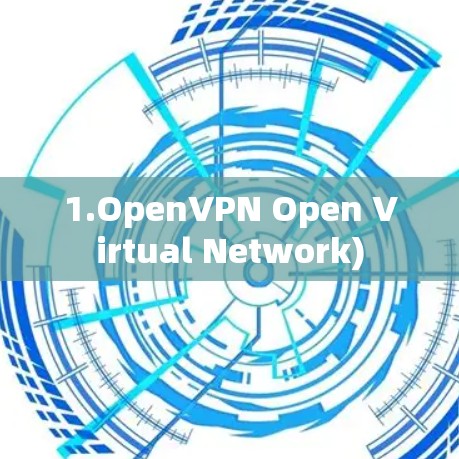 1.OpenVPN Open Virtual Network)