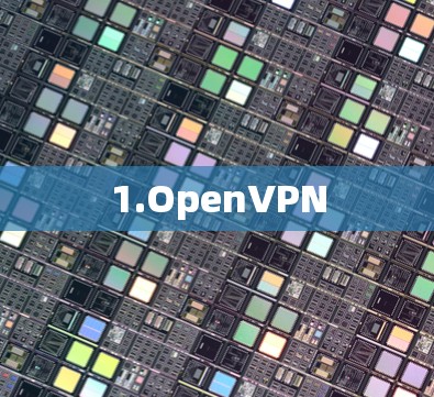 1.OpenVPN