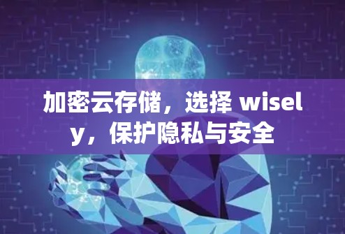 加密云存储，选择 wisely，保护隐私与安全