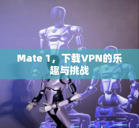 Mate 1，下载VPN的乐趣与挑战