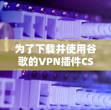 为了下载并使用谷歌的VPN插件CSDN，您可以按照以下步骤操作