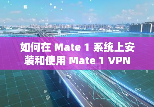 如何在 Mate 1 系统上安装和使用 Mate 1 VPN