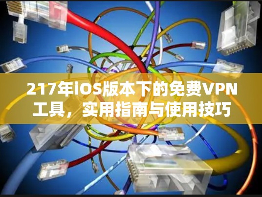 217年iOS版本下的免费VPN工具，实用指南与使用技巧