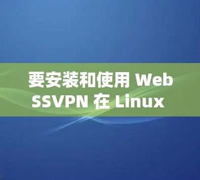 要安装和使用 WebSSVPN 在 Linux 系统中，可以按照以下步骤进行