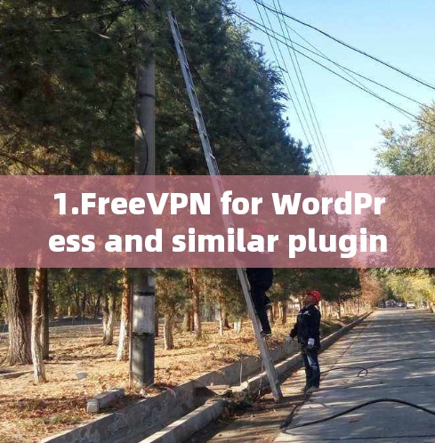 1.FreeVPN for WordPress and similar plugins like Vpn for WordPress or Free VPN for WordPress)