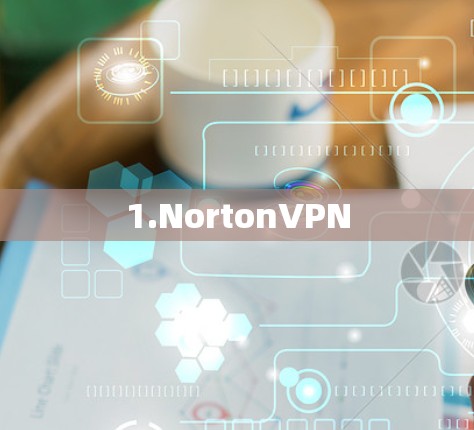 1.NortonVPN