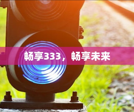 畅享333，畅享未来