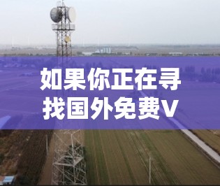 如果你正在寻找国外免费VPN服务，以下是一些推荐的选项，这些服务都是免费的，并且提供多样化的语言支持