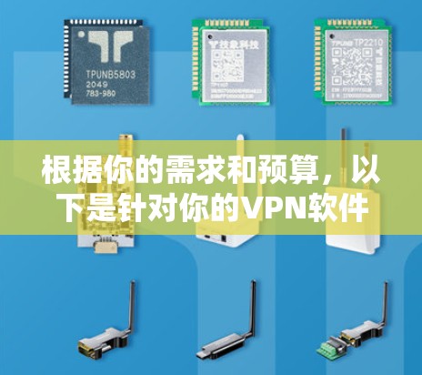 根据你的需求和预算，以下是针对你的VPN软件选择的建议
