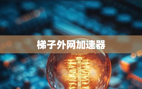 梯子外网加速器
