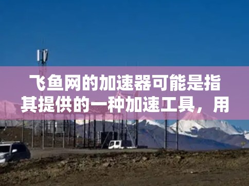 飞鱼网的加速器可能是指其提供的一种加速工具，用于提高网页浏览速度或解决网络延迟问题。具体来说，飞鱼网可能提供多种加速方法，如缓存优化、超链接替换、缓和带优化等，帮助用户更快地访问互联网资源