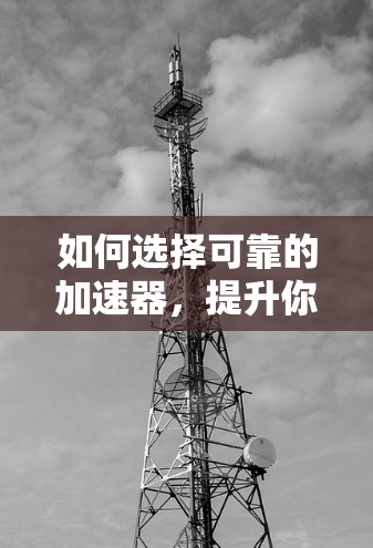如何选择可靠的加速器，提升你的网络性能