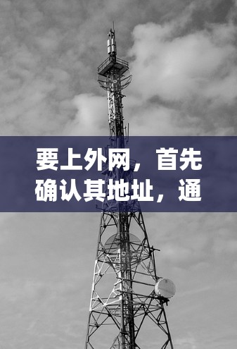 要上外网，首先确认其地址，通常为http:www.xiaoshuxue.com。然后根据需求进行操作