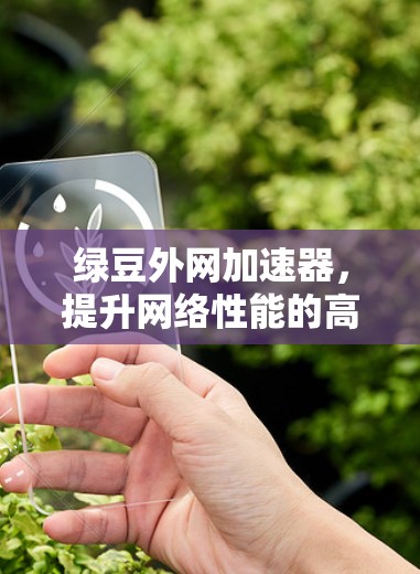 绿豆外网加速器，提升网络性能的高效选择