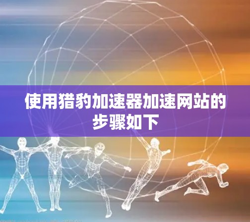 使用猎豹加速器加速网站的步骤如下