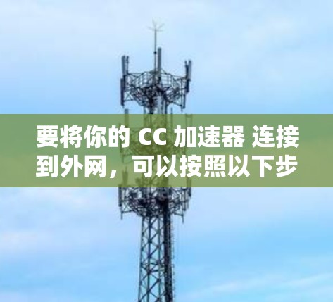 要将你的 CC 加速器 连接到外网，可以按照以下步骤进行