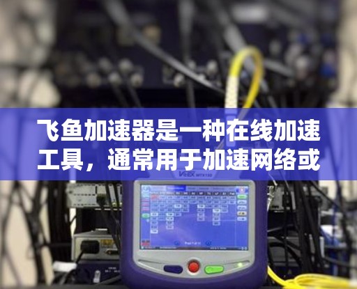 飞鱼加速器是一种在线加速工具，通常用于加速网络或软件的运行速度。它是否能访问外网取决于飞鱼加速器的具体功能和设计。以下是一些可能的情况和信息