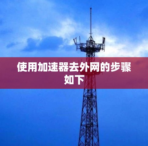 使用加速器去外网的步骤如下