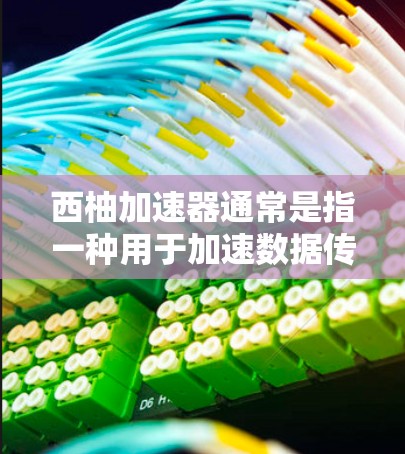 西柚加速器通常是指一种用于加速数据传输或处理的工具。它可能指的是一种软件或在线服务，用于提高数据传输速度或处理速度
