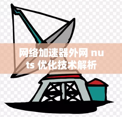 网络加速器外网 nuts 优化技术解析