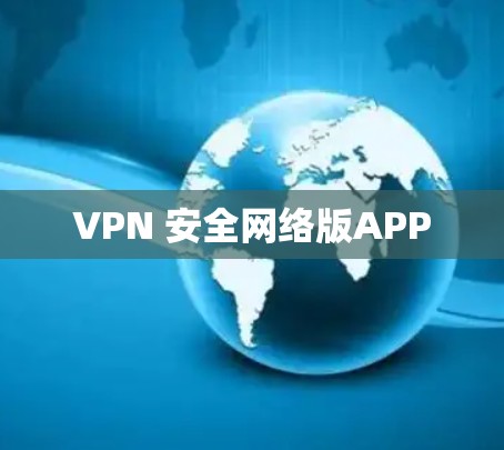VPN 安全网络版APP