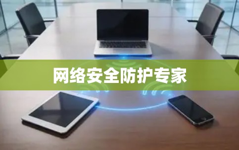 网络安全防护专家