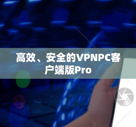 高效、安全的VPNPC客户端版Pro