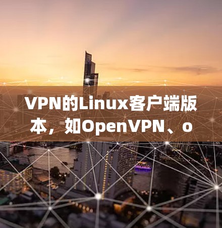VPN的Linux客户端版本，如OpenVPN、openvpn和netnanny，是基于Linux系统开发的工具，用于安全的数据传输。以下是它们的主要特点及其使用指南